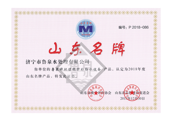 山東名牌鍋爐補(bǔ)給水